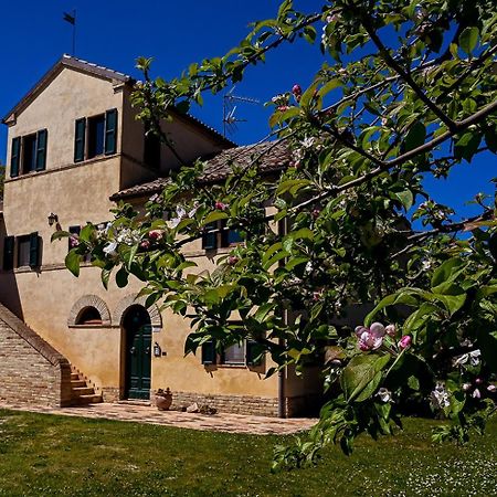 Bed and Breakfast I Ciliegi Osimo Zewnętrze zdjęcie