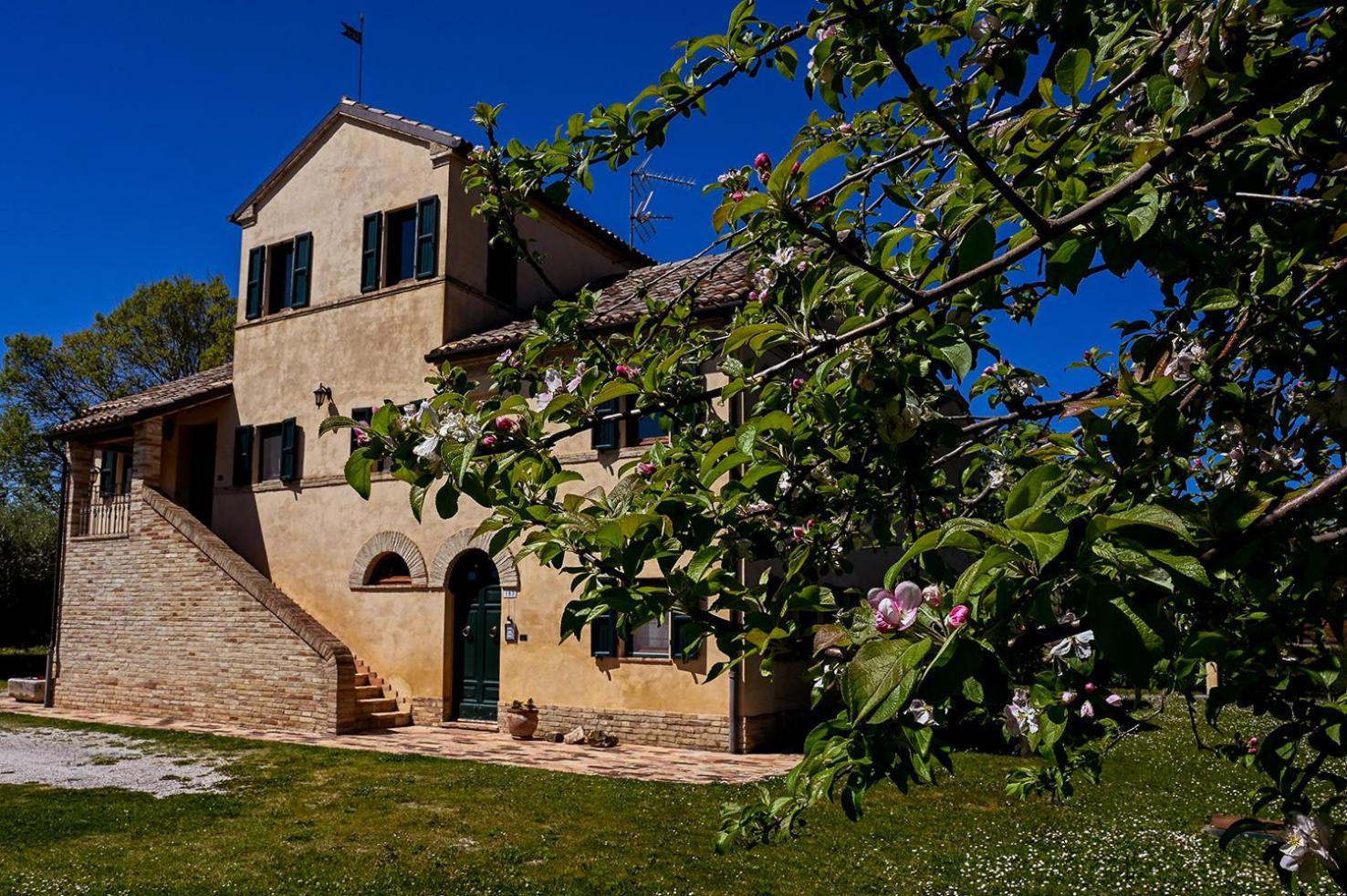 Bed and Breakfast I Ciliegi Osimo Zewnętrze zdjęcie