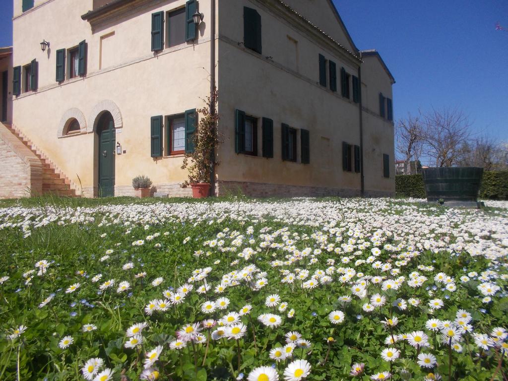 Bed and Breakfast I Ciliegi Osimo Zewnętrze zdjęcie