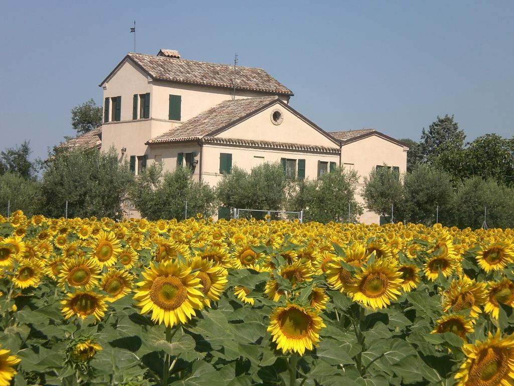 Bed and Breakfast I Ciliegi Osimo Zewnętrze zdjęcie