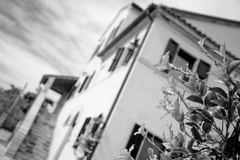 Bed and Breakfast I Ciliegi Osimo Zewnętrze zdjęcie