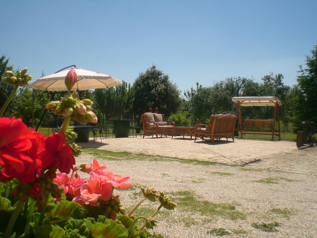 Bed and Breakfast I Ciliegi Osimo Zewnętrze zdjęcie