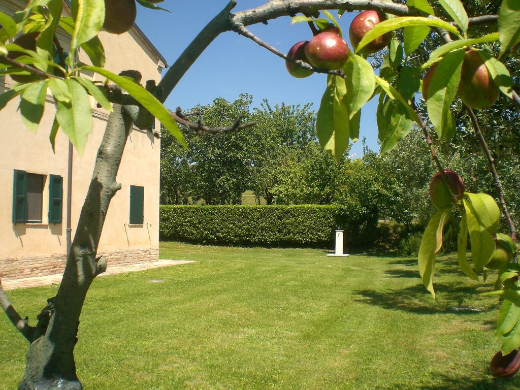 Bed and Breakfast I Ciliegi Osimo Zewnętrze zdjęcie