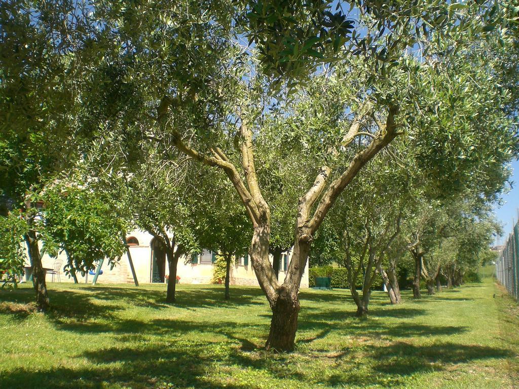 Bed and Breakfast I Ciliegi Osimo Zewnętrze zdjęcie
