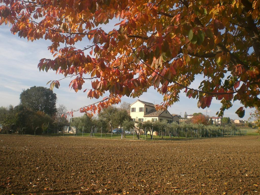 Bed and Breakfast I Ciliegi Osimo Zewnętrze zdjęcie