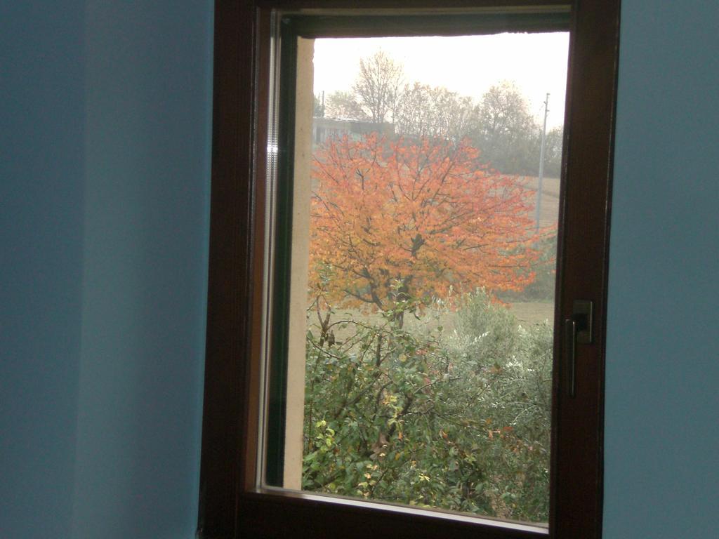 Bed and Breakfast I Ciliegi Osimo Zewnętrze zdjęcie