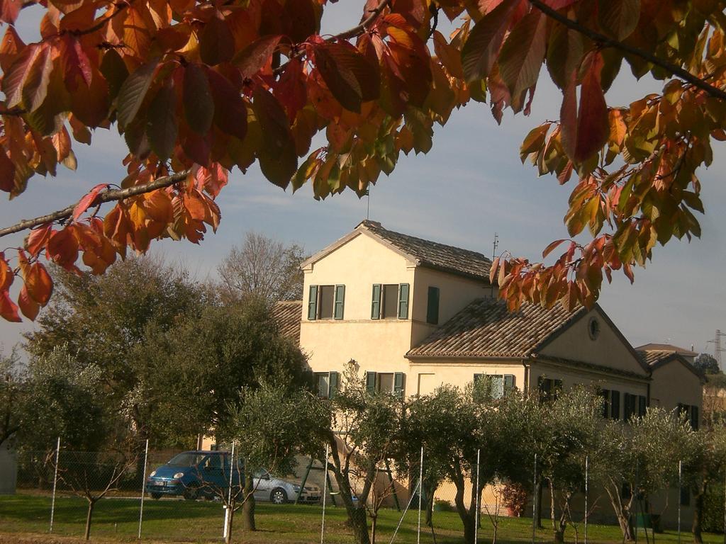 Bed and Breakfast I Ciliegi Osimo Zewnętrze zdjęcie