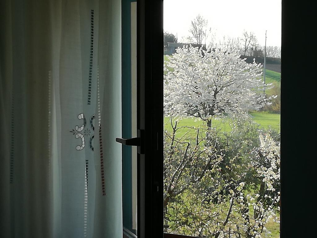Bed and Breakfast I Ciliegi Osimo Zewnętrze zdjęcie