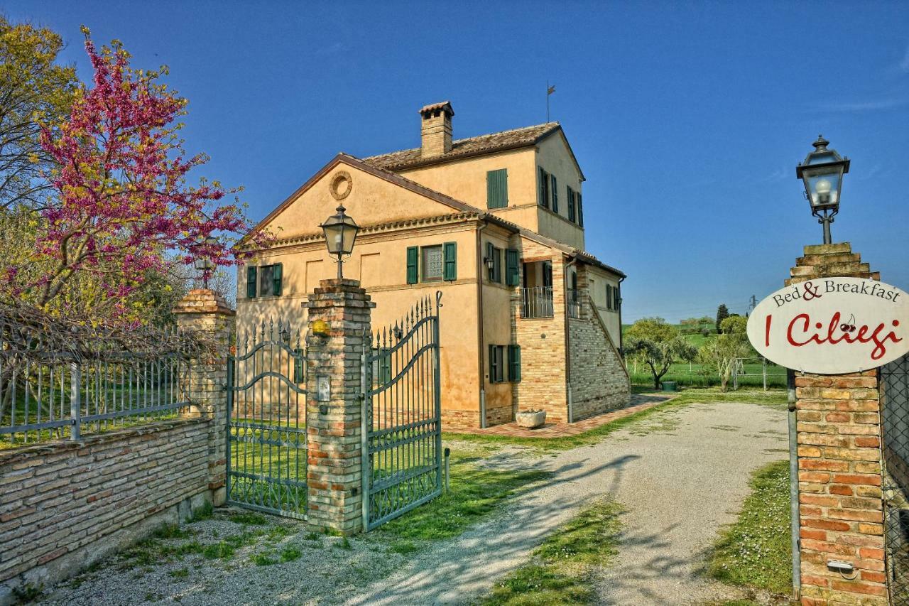 Bed and Breakfast I Ciliegi Osimo Zewnętrze zdjęcie