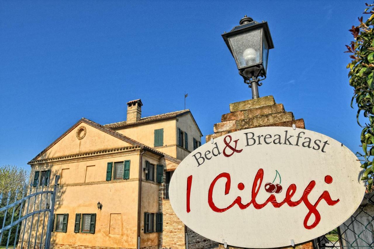 Bed and Breakfast I Ciliegi Osimo Zewnętrze zdjęcie