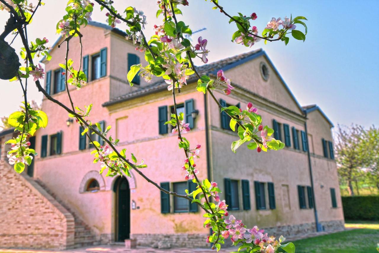 Bed and Breakfast I Ciliegi Osimo Zewnętrze zdjęcie
