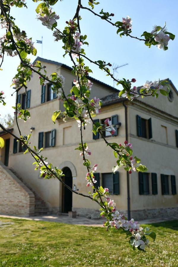 Bed and Breakfast I Ciliegi Osimo Zewnętrze zdjęcie