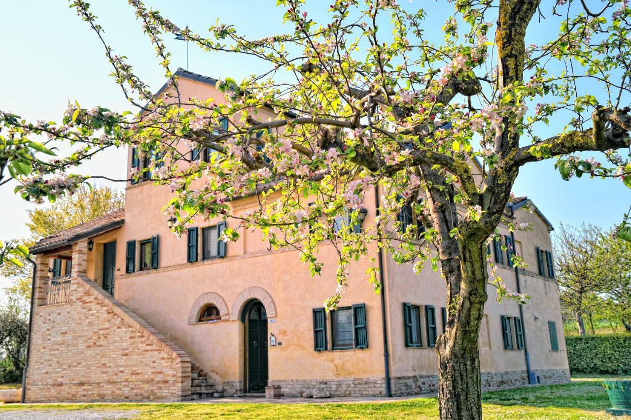 Bed and Breakfast I Ciliegi Osimo Zewnętrze zdjęcie