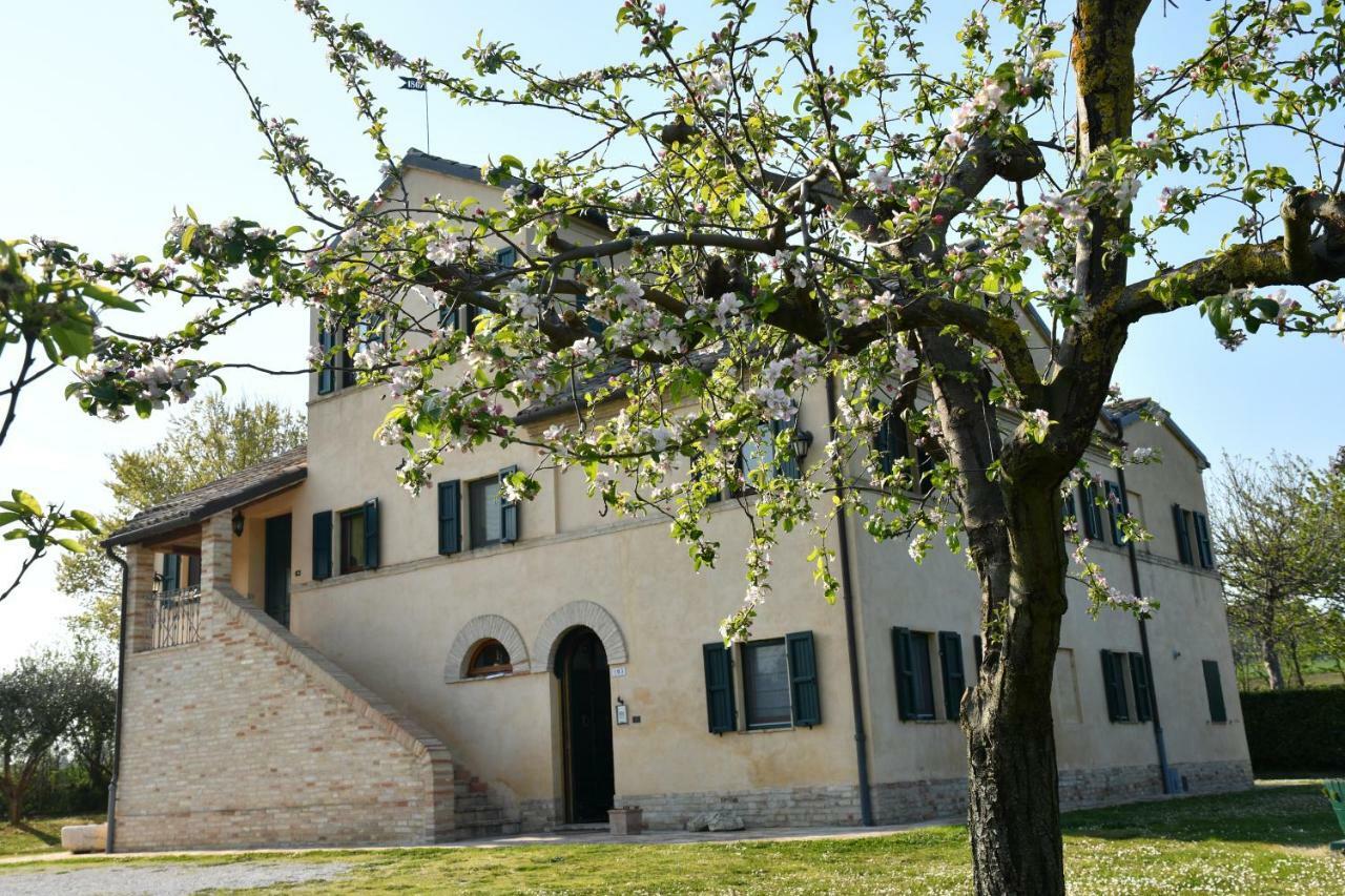 Bed and Breakfast I Ciliegi Osimo Zewnętrze zdjęcie