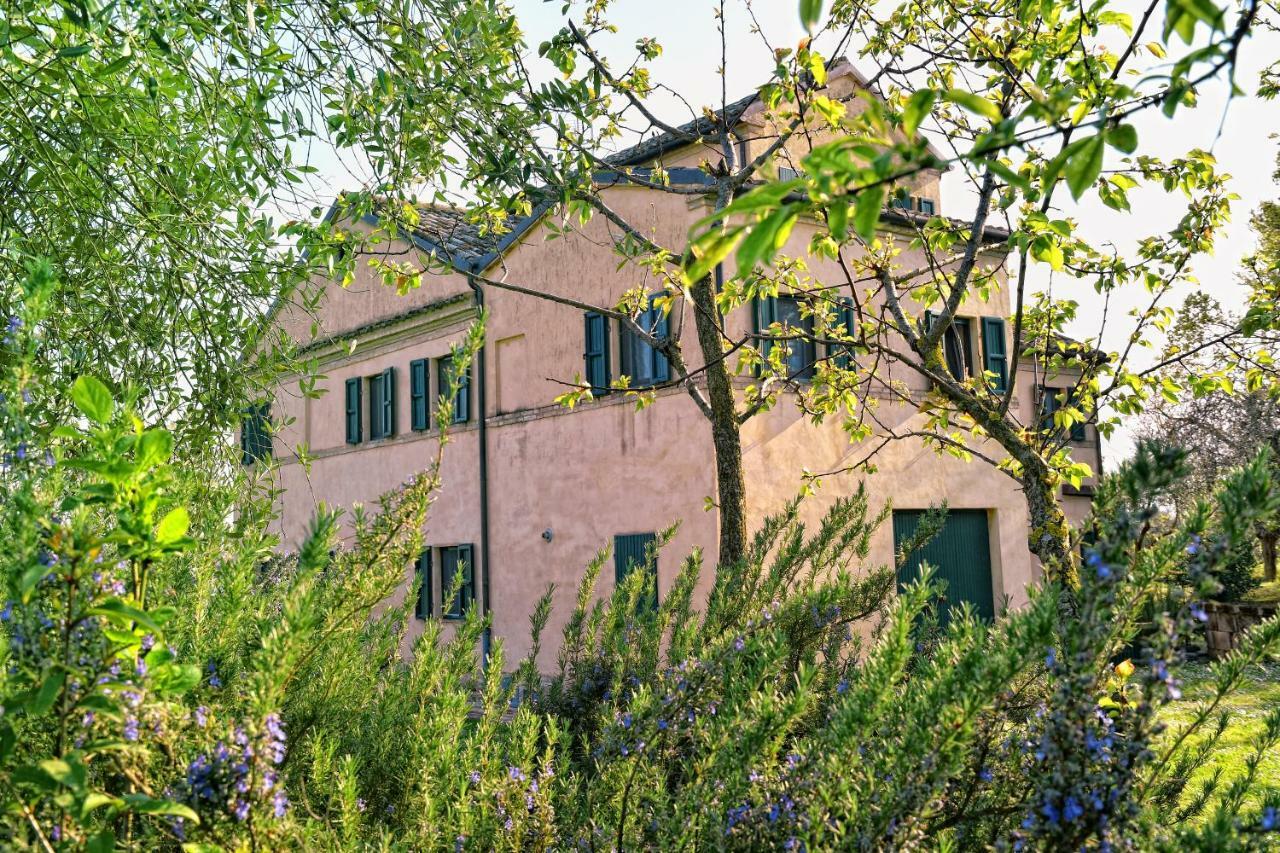 Bed and Breakfast I Ciliegi Osimo Zewnętrze zdjęcie