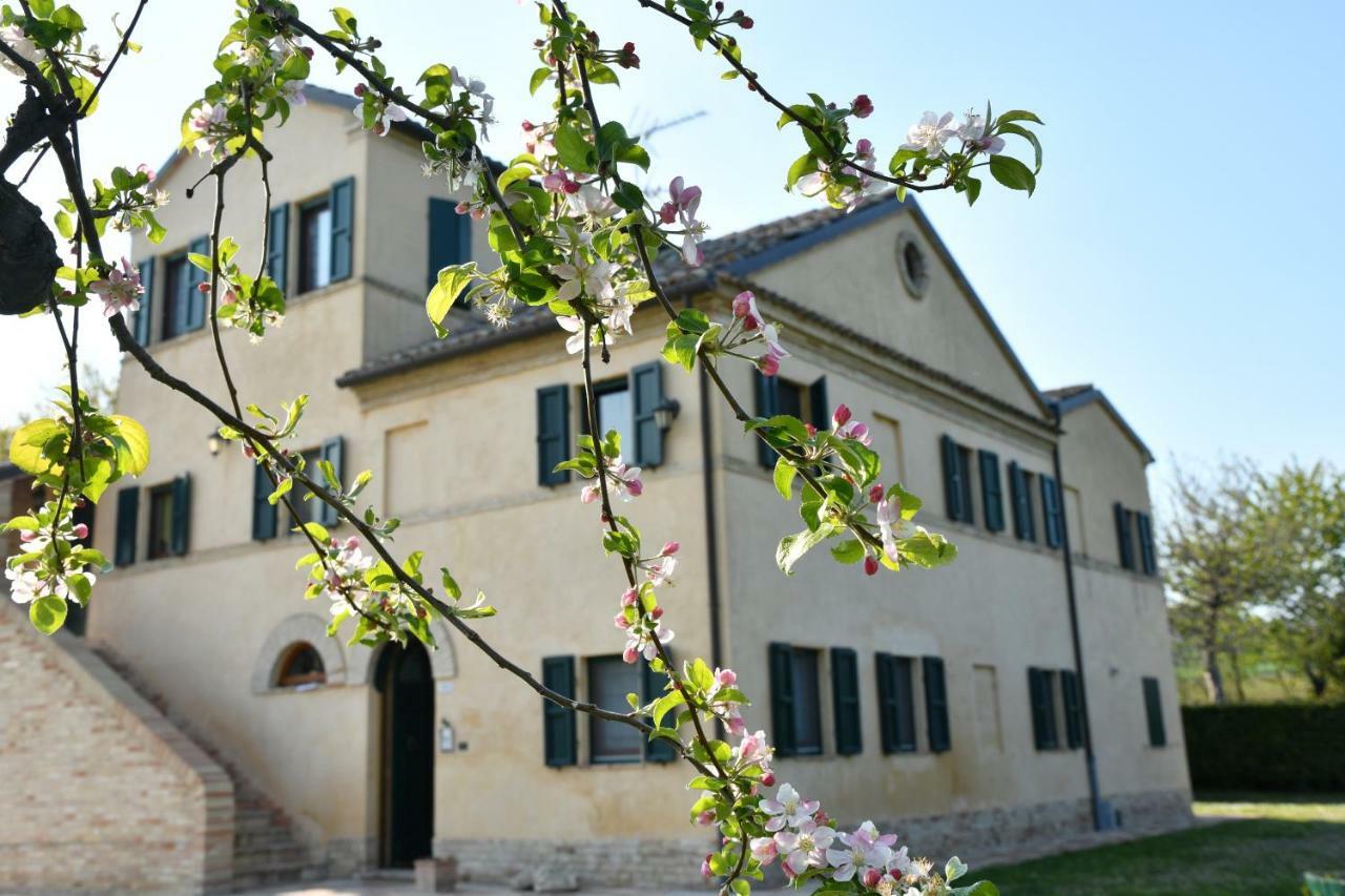 Bed and Breakfast I Ciliegi Osimo Zewnętrze zdjęcie