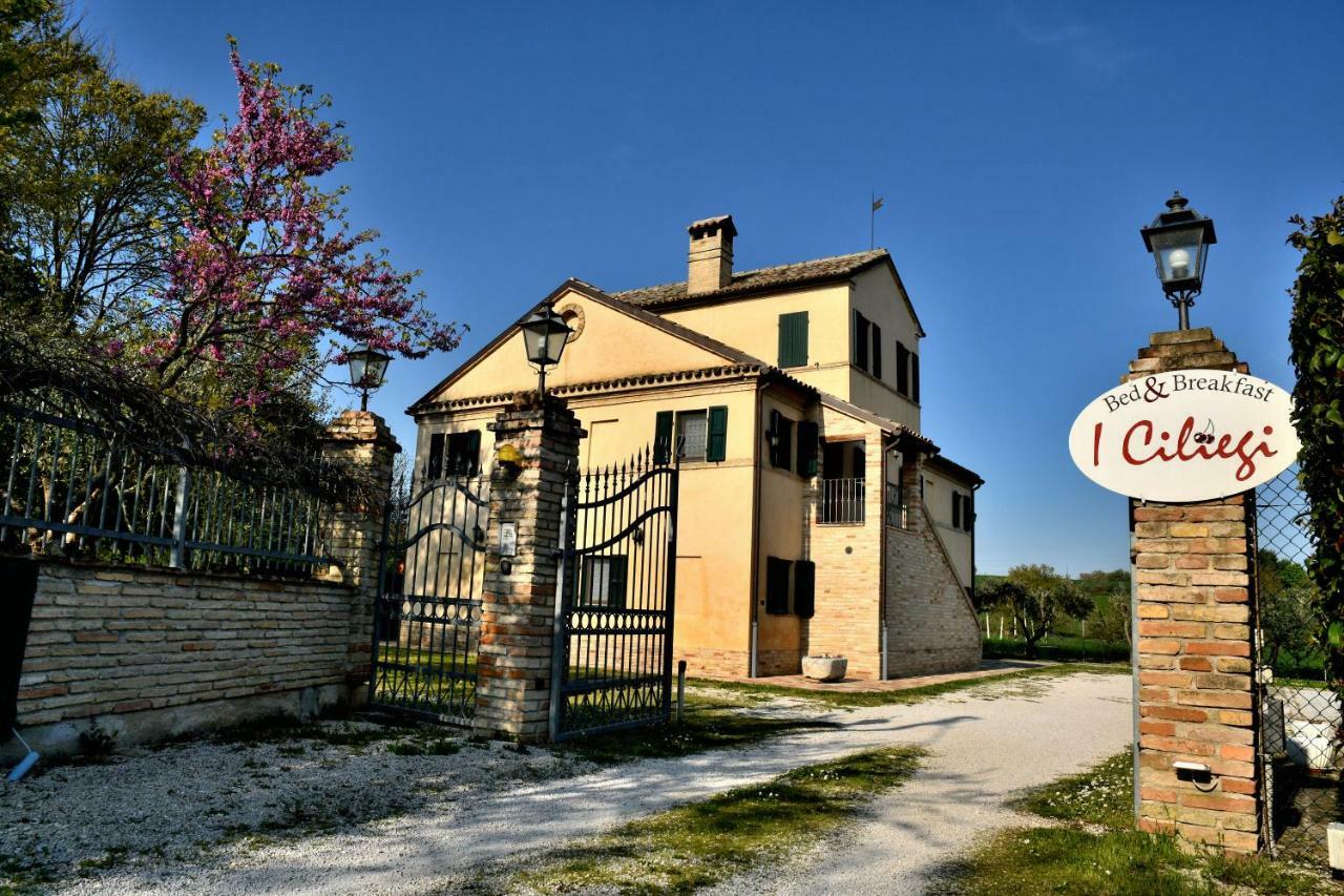 Bed and Breakfast I Ciliegi Osimo Zewnętrze zdjęcie